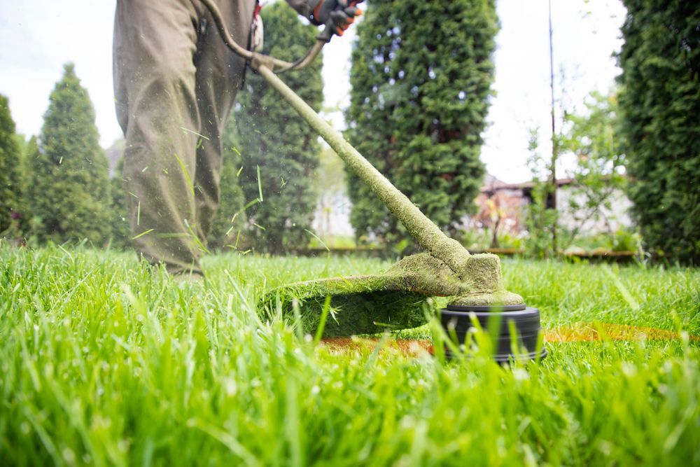 Person using a string trimmer to cut grass in a yard.
