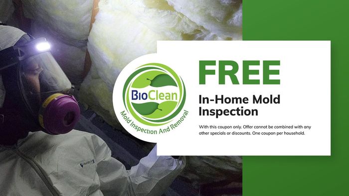 Free in-home mold assessment