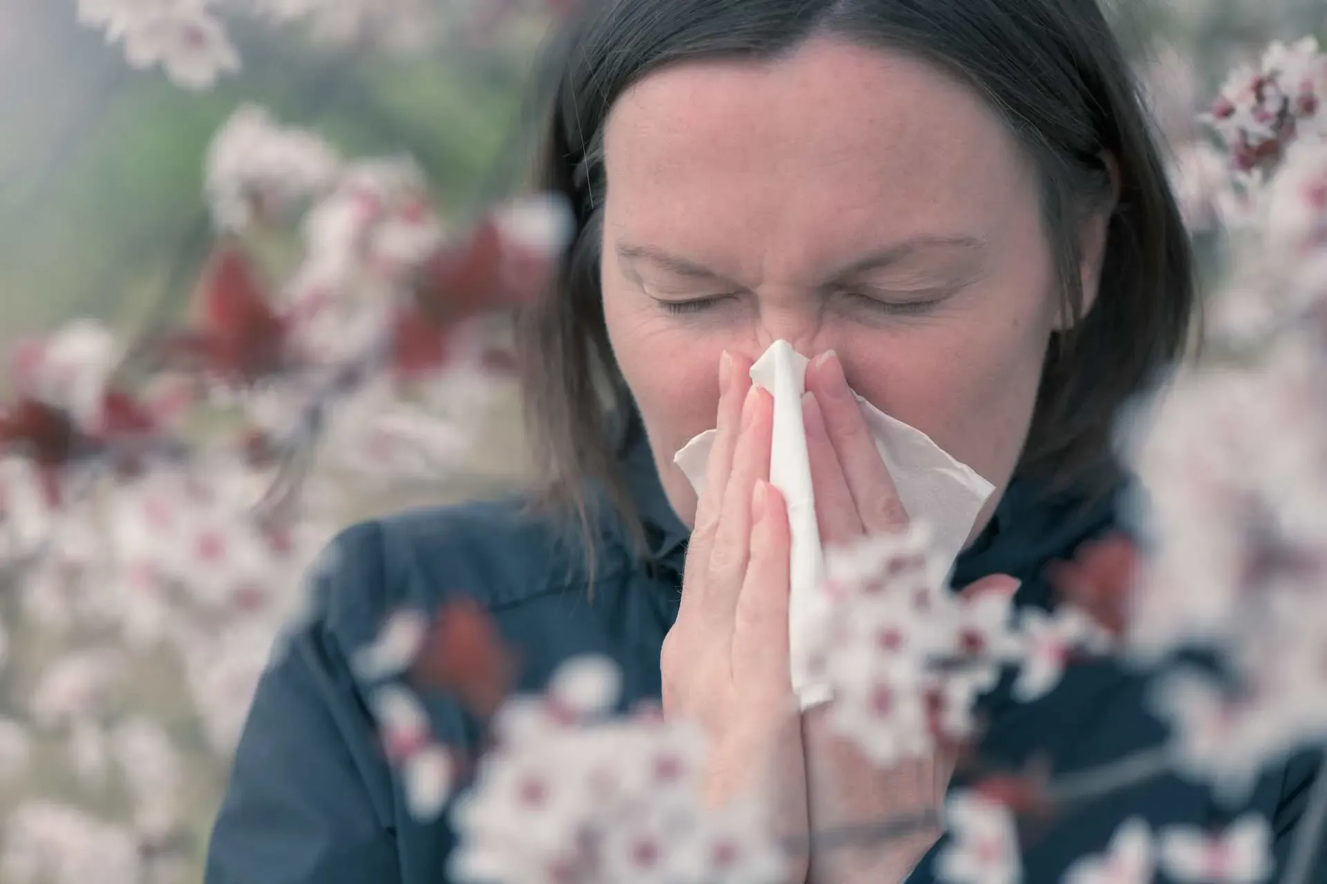 Is It Pollen or Poor Indoor Air Quality?