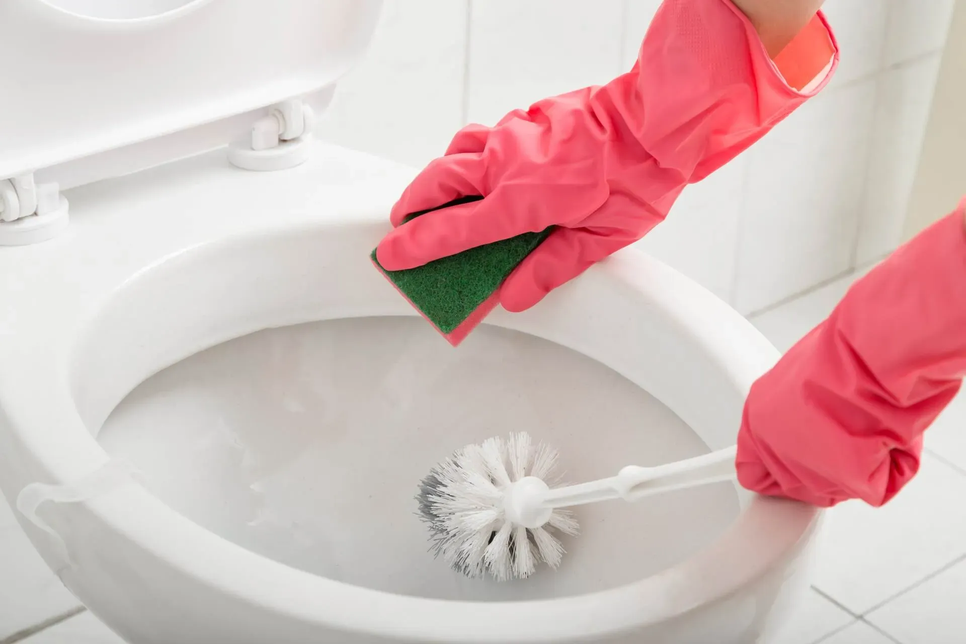 What Happens If You Don't Clean Your Toilet?