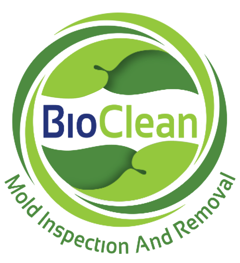 BioZap Mold & Mildew Cleaner