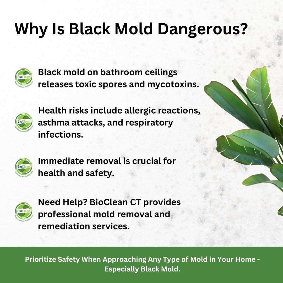 is black mold on bathroom ceiling dangerous