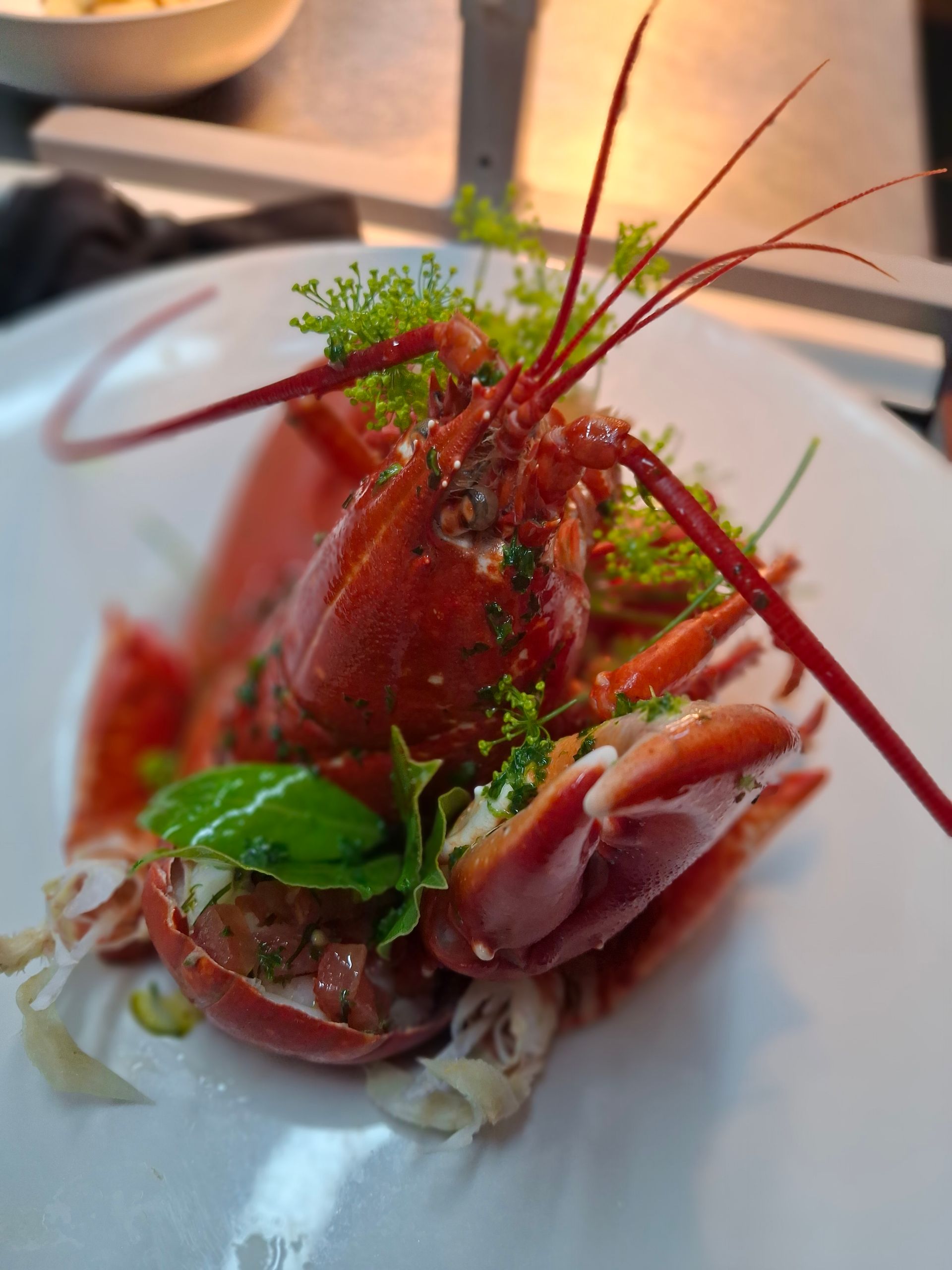 Yorkshire lobster from Scarborough
