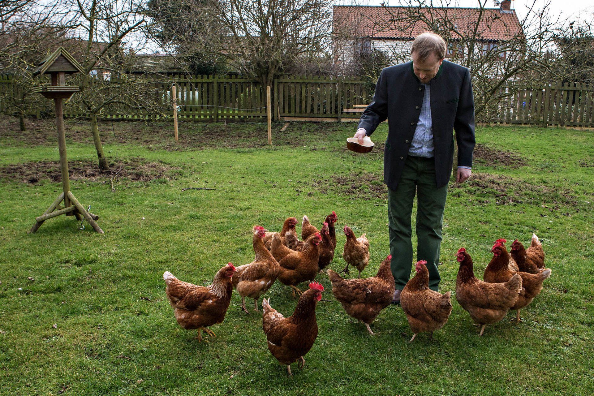 A man is feeding chickens in a grassy field.