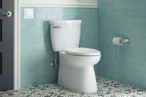 Bathroom Toilet — Lisle, IL – Jim Dhamer Plumbing and Sewer, Inc.