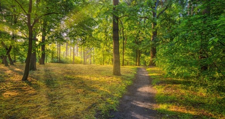 Nazorg en borging voor duurzame inzetbaarheid
