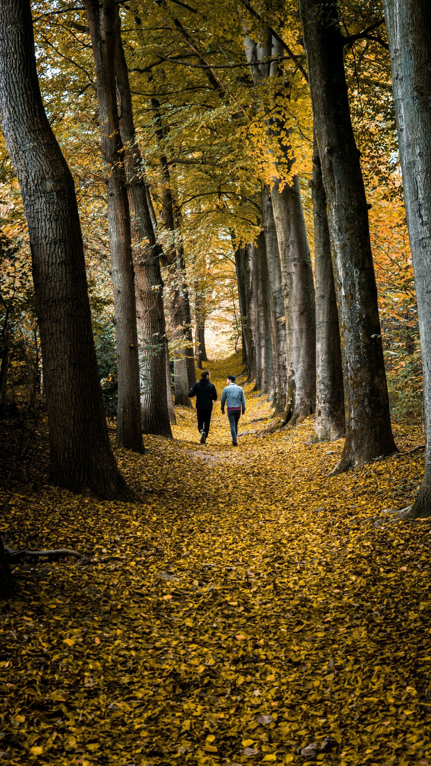 Coaching bij werkstress en burnout tijdens wandeling in de natuur in regio Amersfoort Soest
