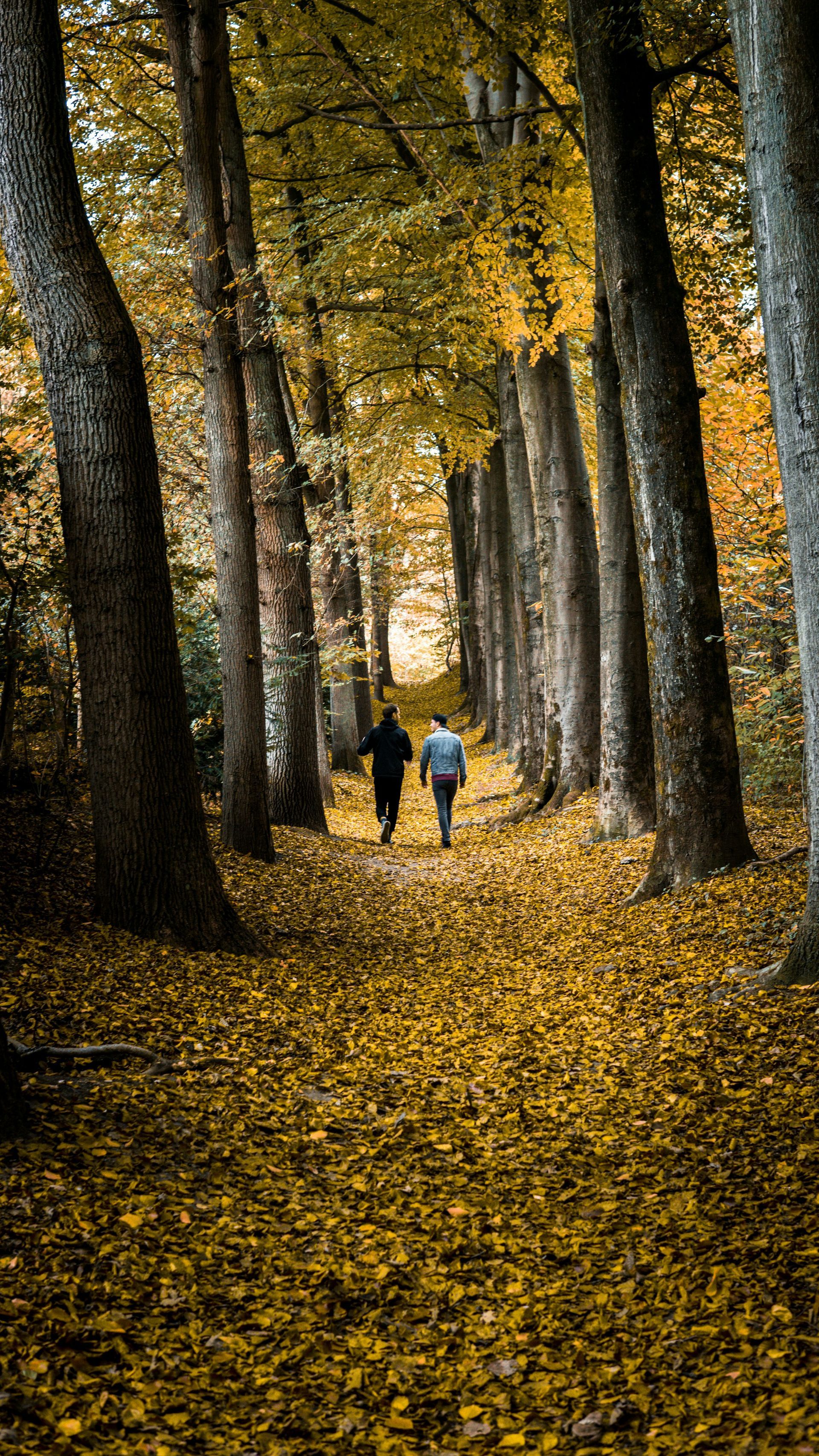Coaching bij werkstress en burnout tijdens wandeling in de natuur in regio Amersfoort Soest 
