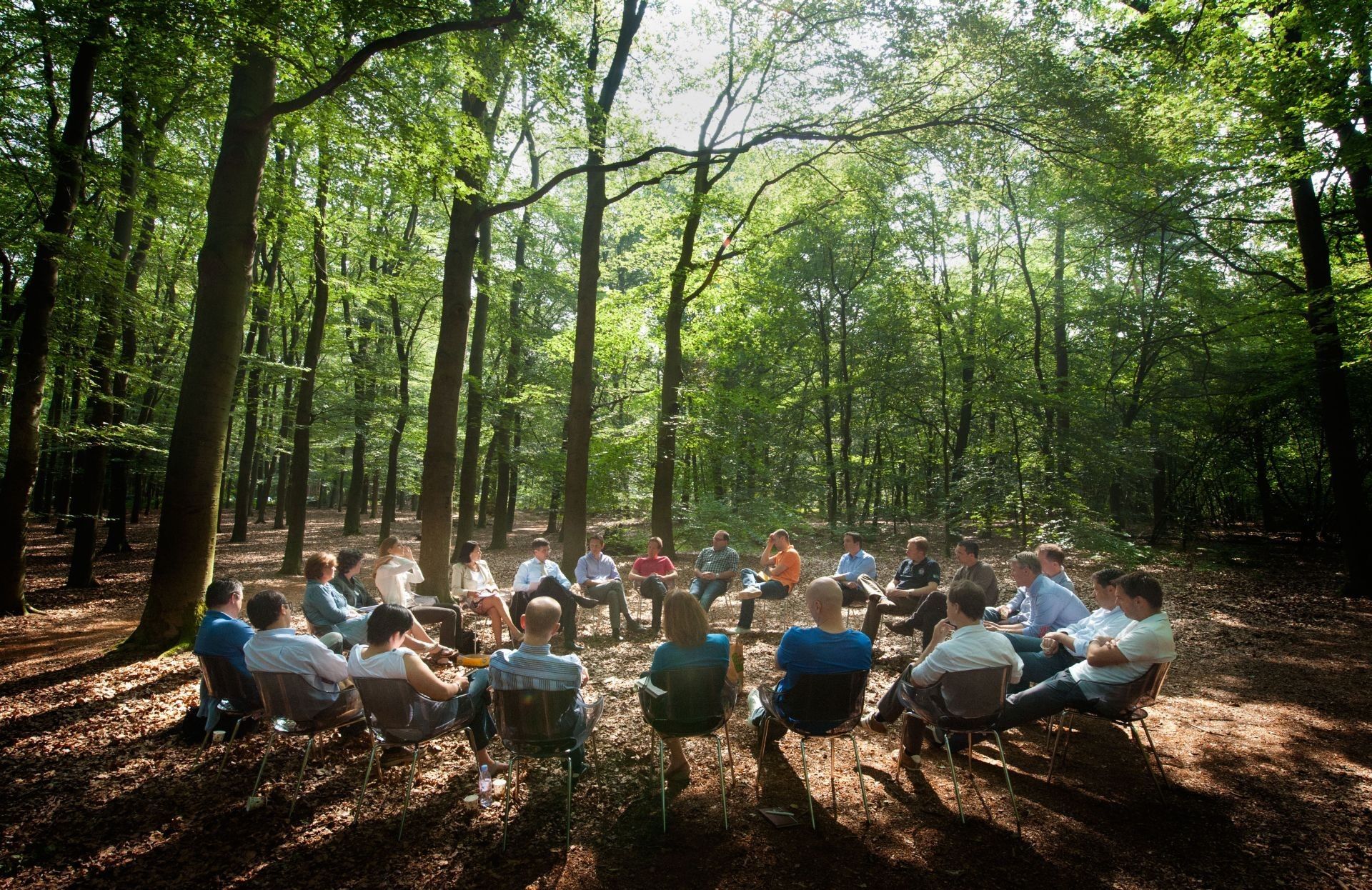 Teaminterventie in de natuur met groepssessie gericht op samenwerking, communicatie en vertrouwen