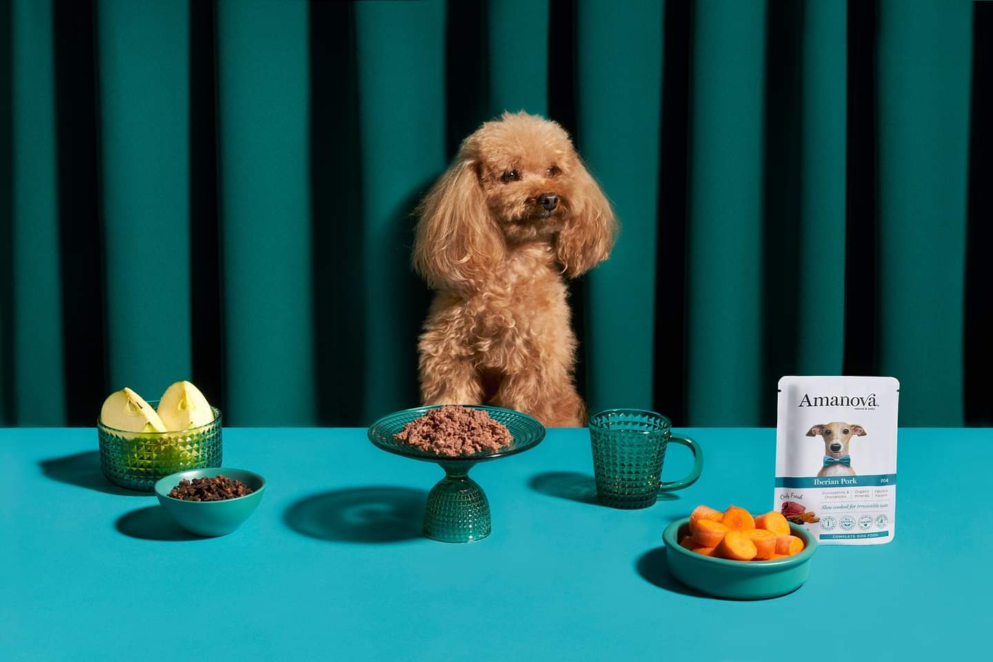 barboncino color caramello seduto a tavola