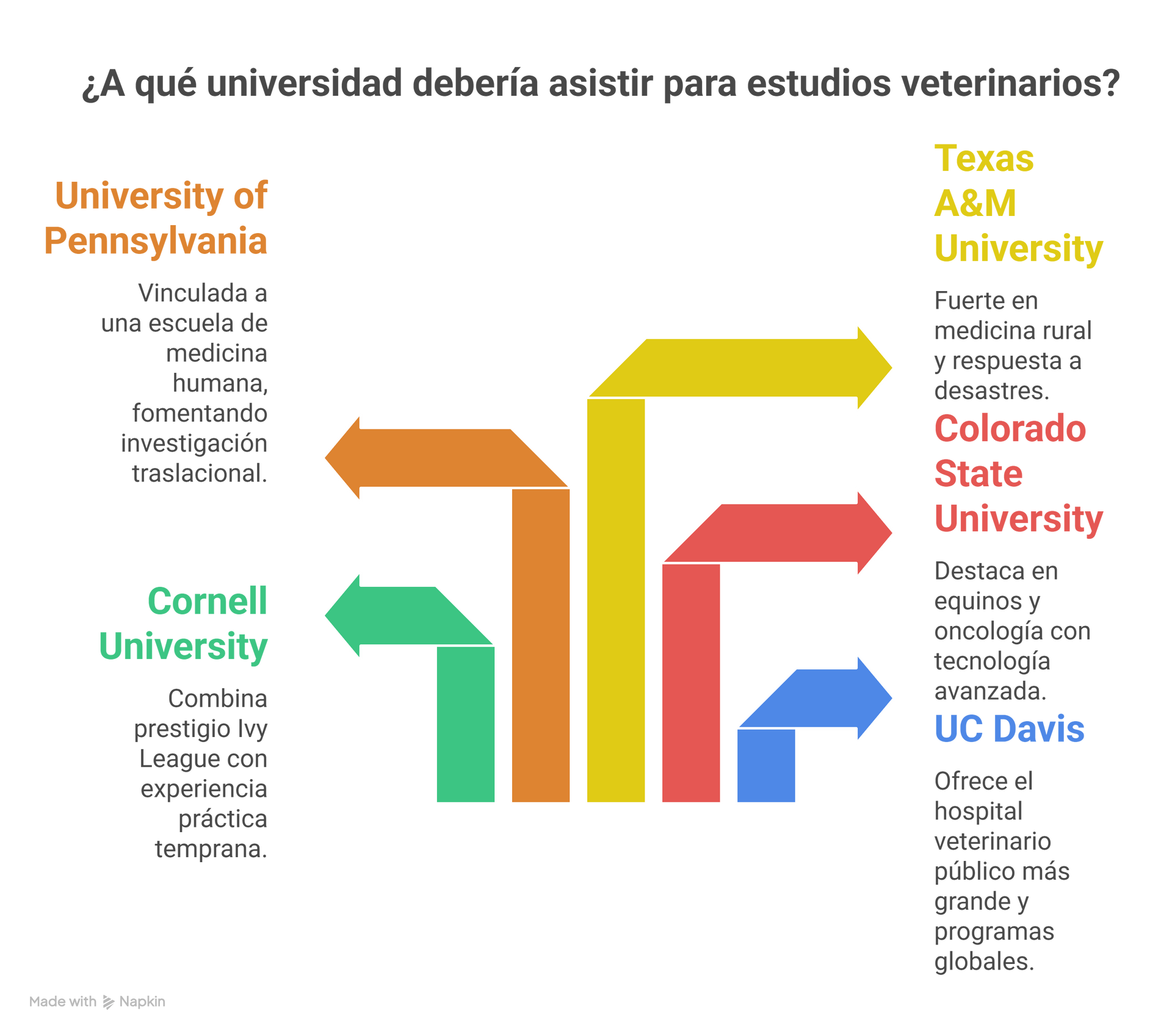 Dos Caminos Hacia Tu Título en Odontología