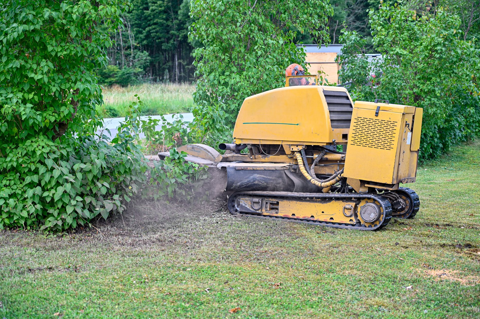 Stump Grinding — Marietta, GA — Ace Tree Surgery Inc.