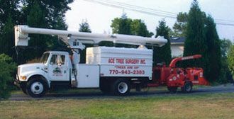 White Truck — Marietta, GA — Ace Tree Surgery Inc.