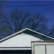 House with Bare Tree — Marietta, GA — Ace Tree Surgery Inc.