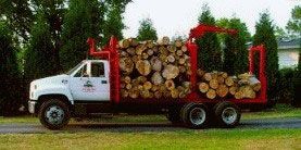 Truck with Cut Trees — Marietta, GA — Ace Tree Surgery Inc.