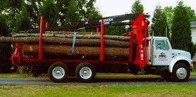 Truck with Logs — Marietta, GA — Ace Tree Surgery Inc.