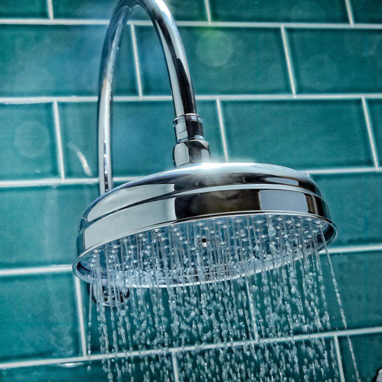 Harrogate Raincan showerhead