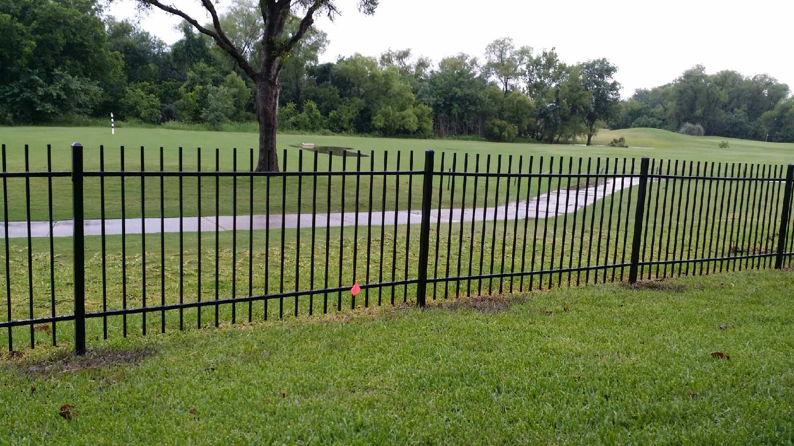 Wrought iron fencing