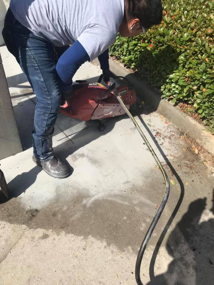 Person using a hose to clean a dark object on a concrete surface next to greenery.
