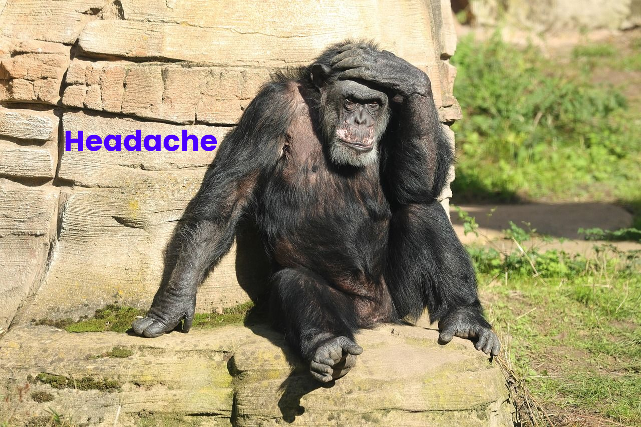 Headache and Chiropractic