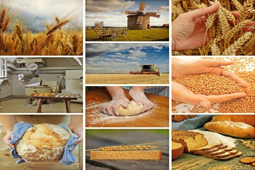 Halal Certification HalalAssure-IP HAIP