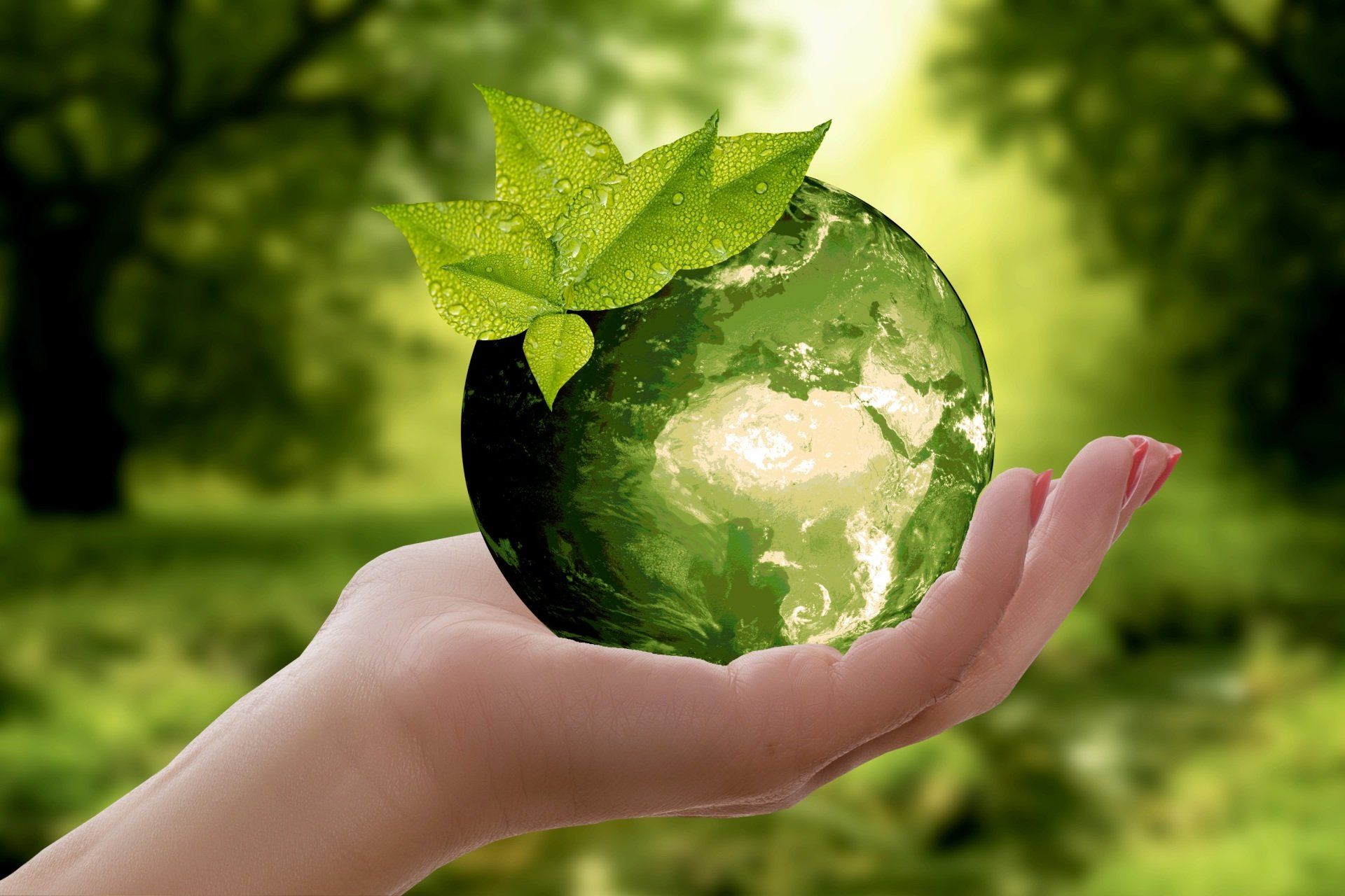 Sustainable Certification