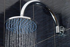Shower Head — Seattle, WA — Quality Plumbing