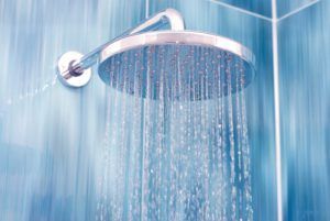 Shower Sprinkler — Seattle, WA — Quality Plumbing