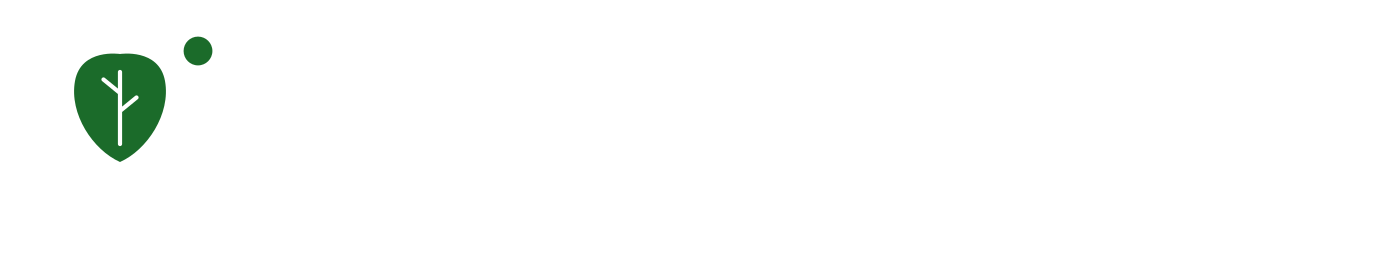 A wooden door with a central circular window, a metal knocker, and an ornate, patterned frame.