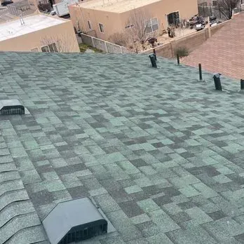Green and gray shingle roof with vents and pipes, overlooking buildings and street.