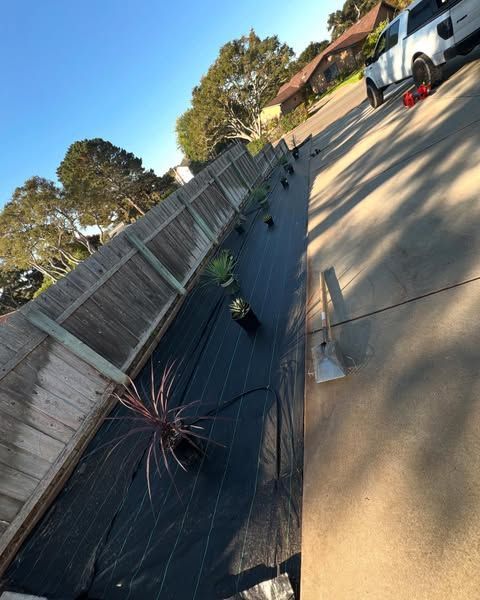 Black landscape fabric lines a sloped area next to a wooden fence and a driveway. Plants are placed on the fabric.