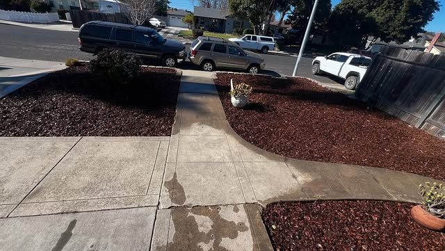 Concrete walkway lined with dark mulch and houses in background, cars parked on street.