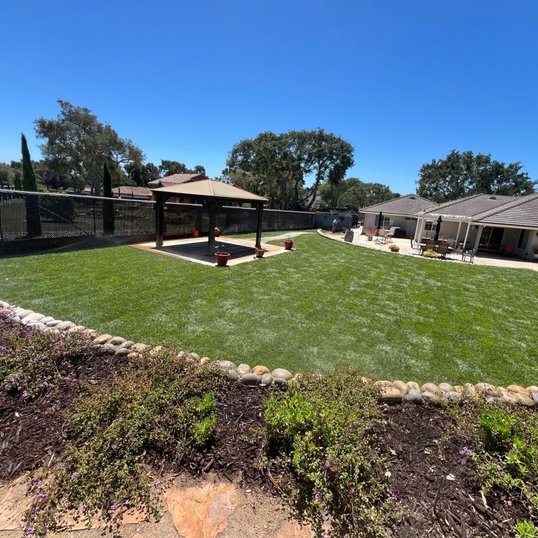 Lush green backyard with gazebo, stone border, and surrounding house under a clear blue sky.