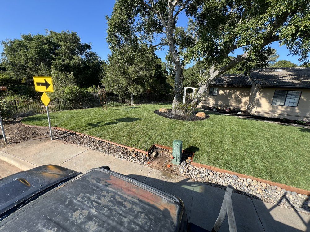 Lawn next to a house with a large tree. Yellow road sign and sidewalk in the foreground.
