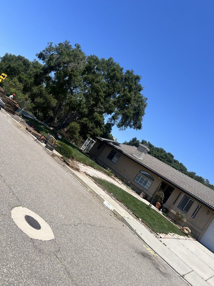 A house with a beige exterior and a large tree next to it on a sunny day.