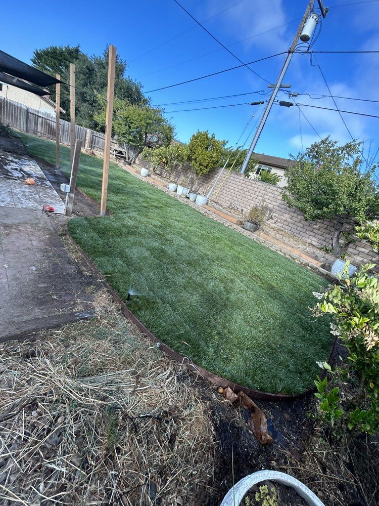 Lawn on a steep hillside; wooden posts and retaining wall; power lines overhead.