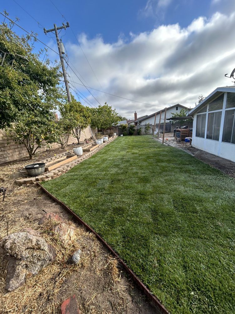 Backyard with lush green grass, a rock border, trees, and a house with a screened porch under a cloudy sky.