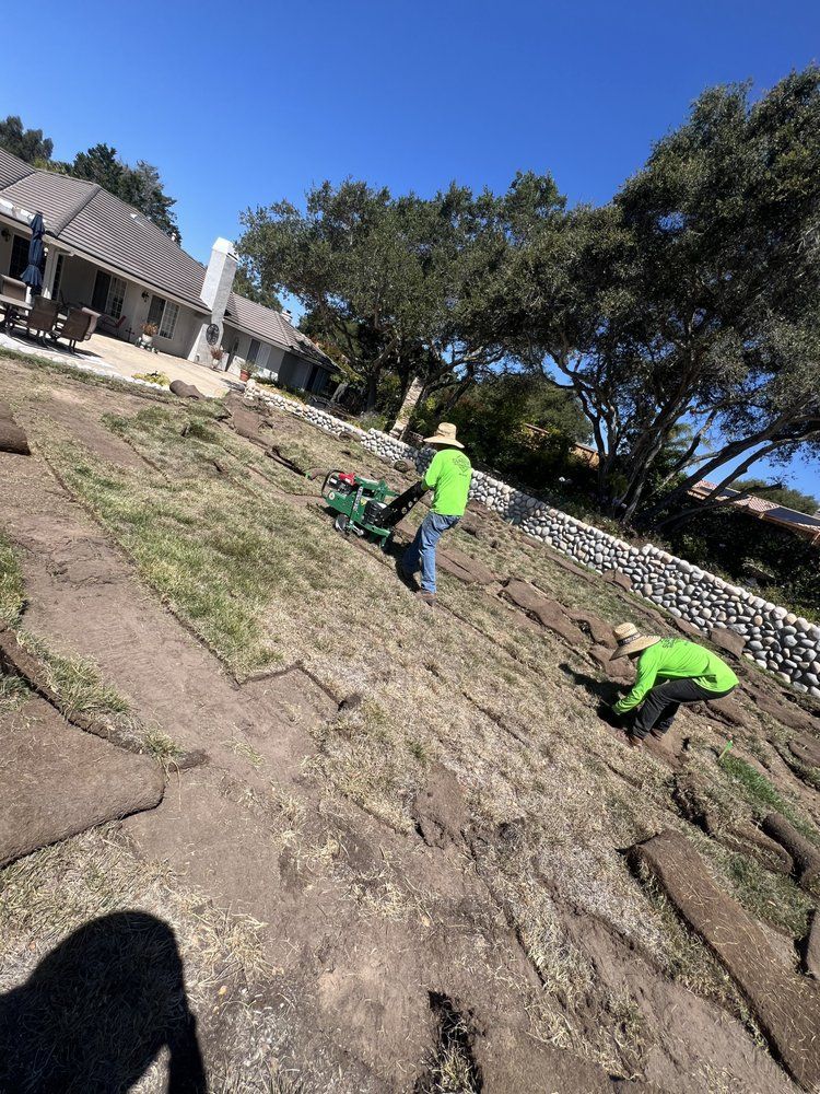 Two workers laying sod on a sloped hillside, near a house. Green grass and workers' shirts stand out.