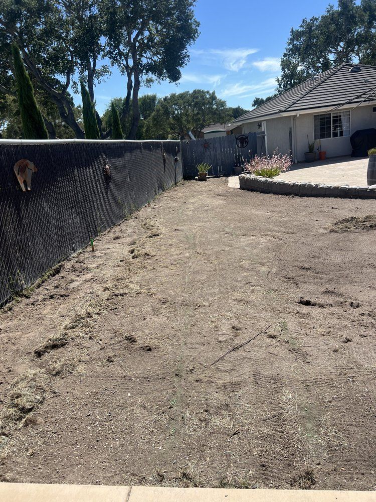 Bare earth backyard alongside a black fence. Two cats are on the fence. A patio and house are in the background.