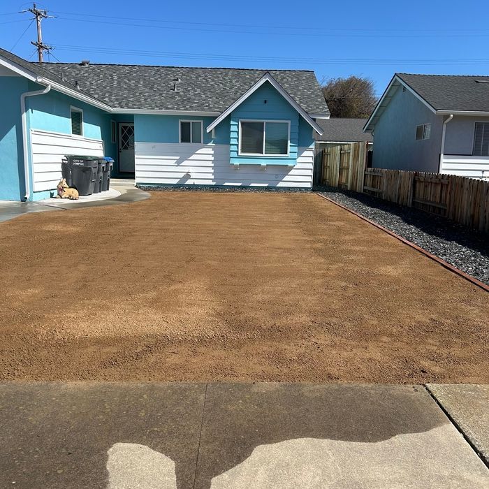 Brown-covered yard in front of a blue and white house. Sidewalk in foreground, fence and house to right.