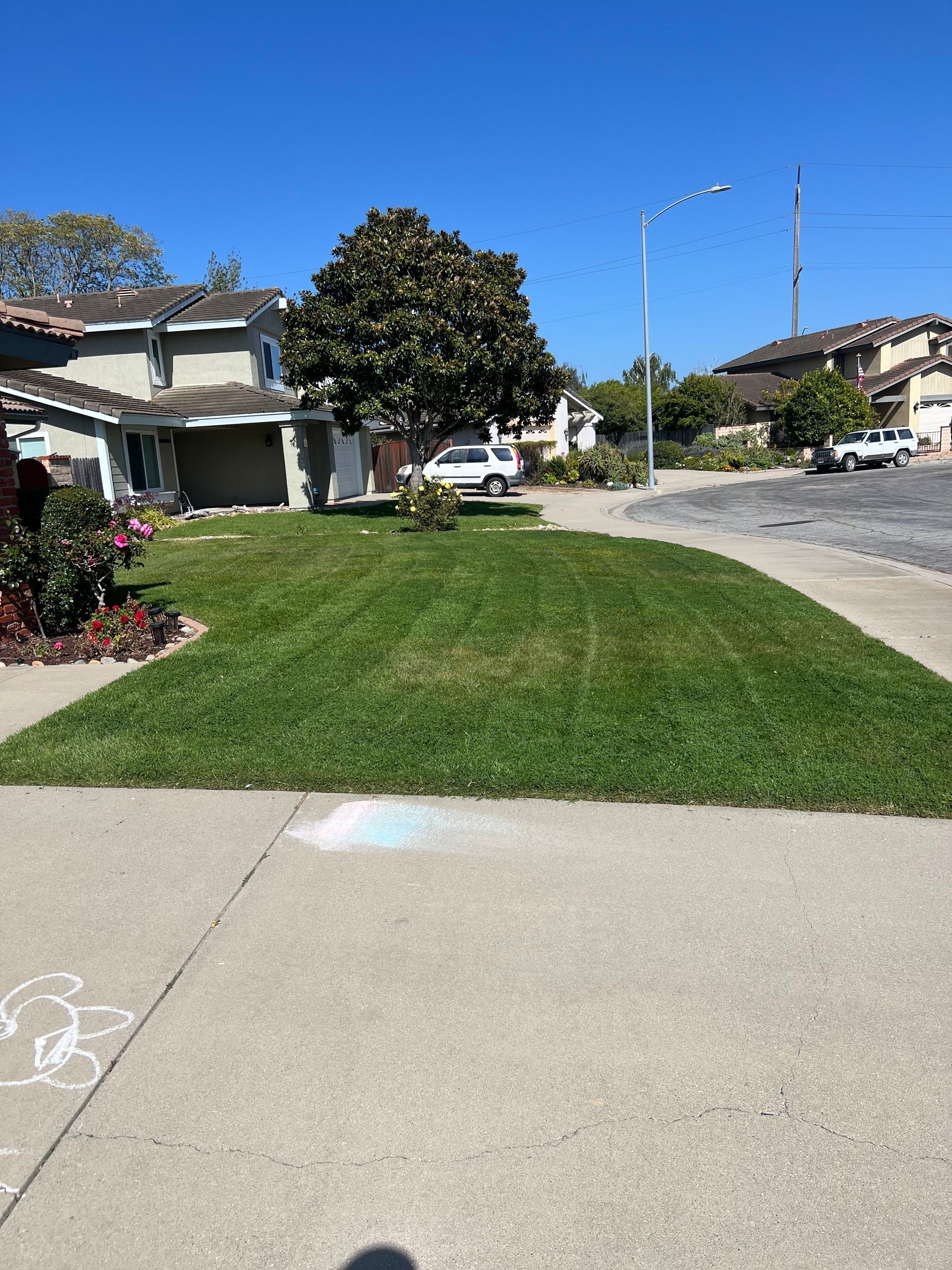 Person trimming grass with a string trimmer outdoors, green lawn and sunlight.