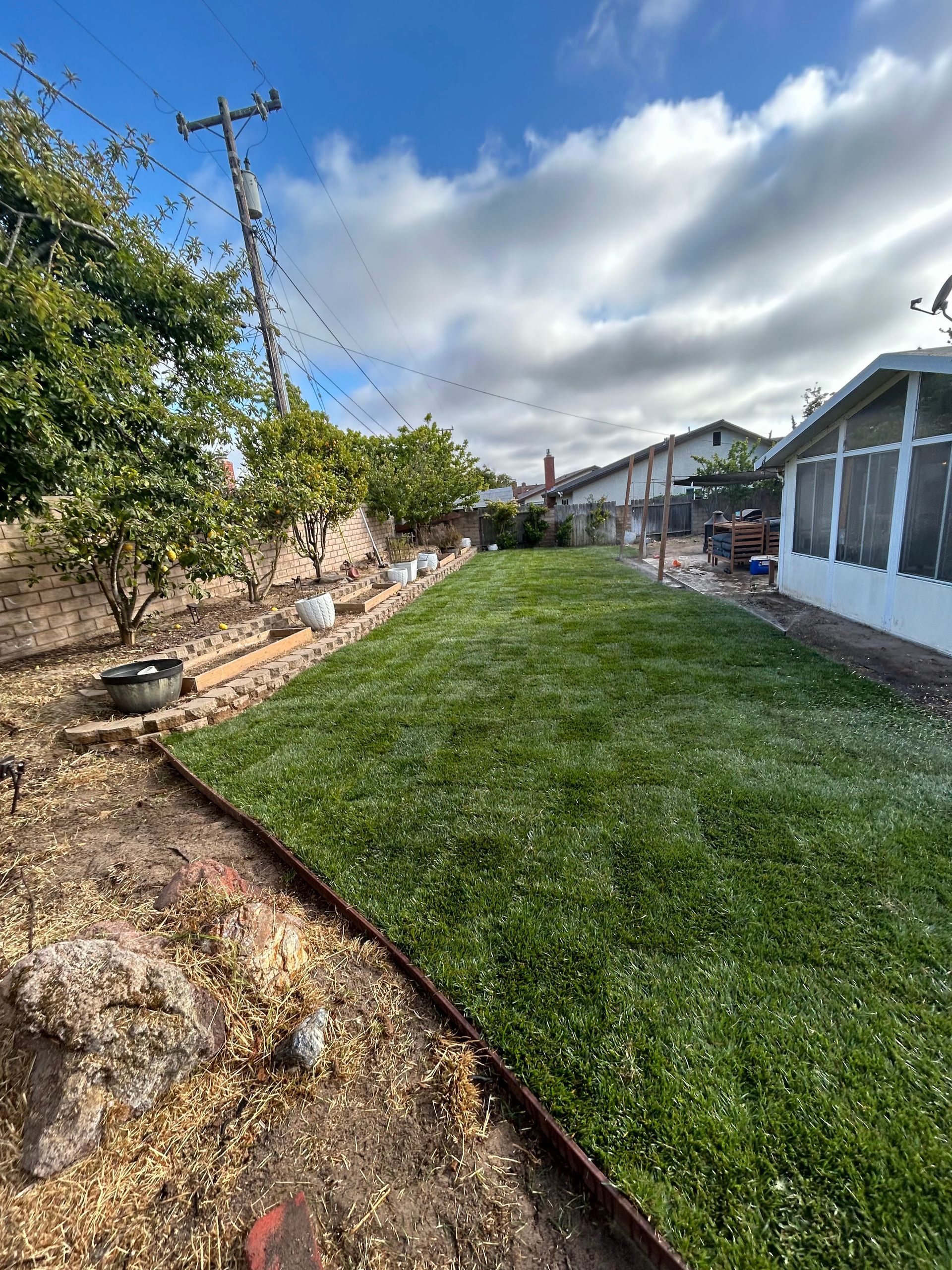 Green sod being laid on brown soil, with a dolly carrying rolled sod in the background.
