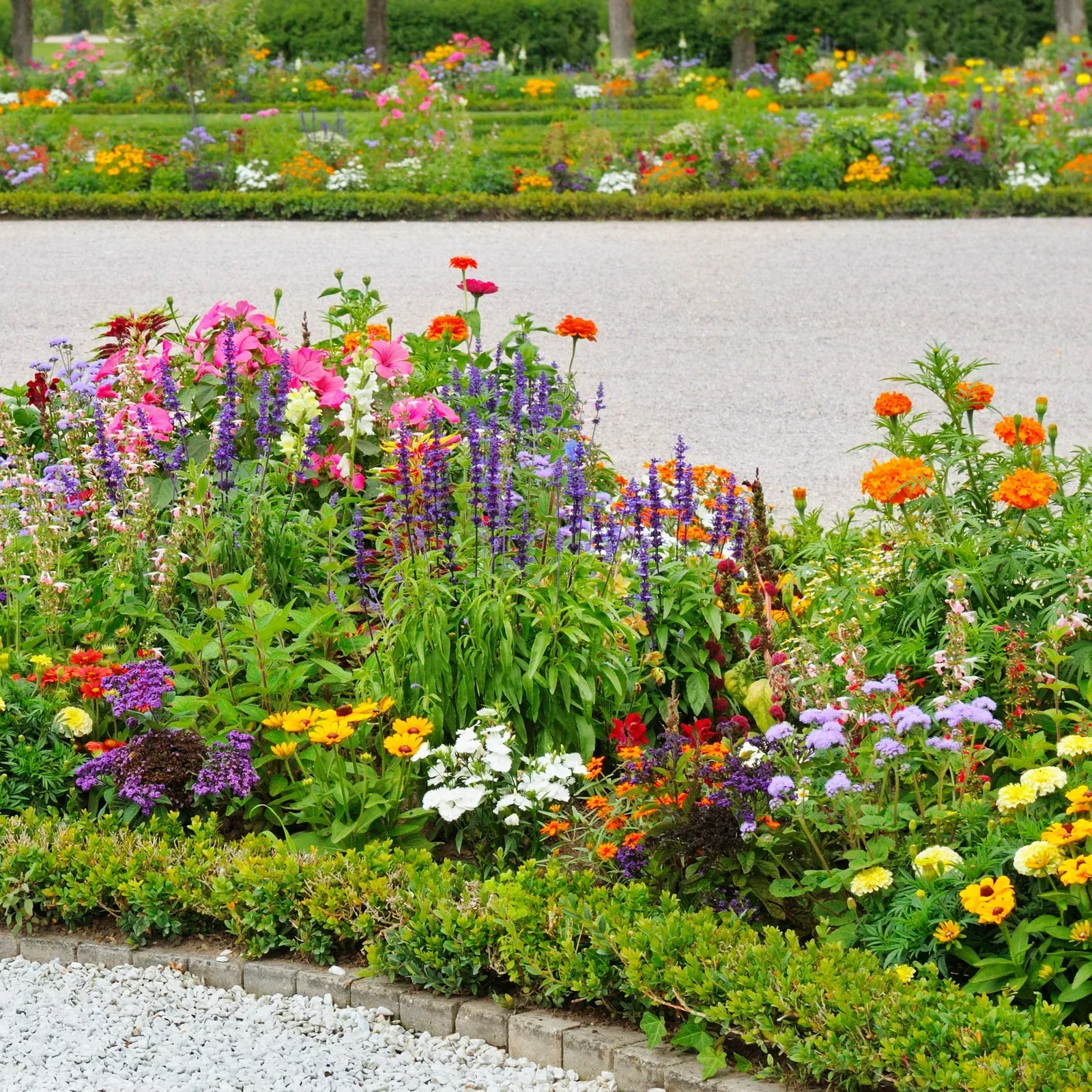 Colorful flowerbeds lining a gravel path in a garden.