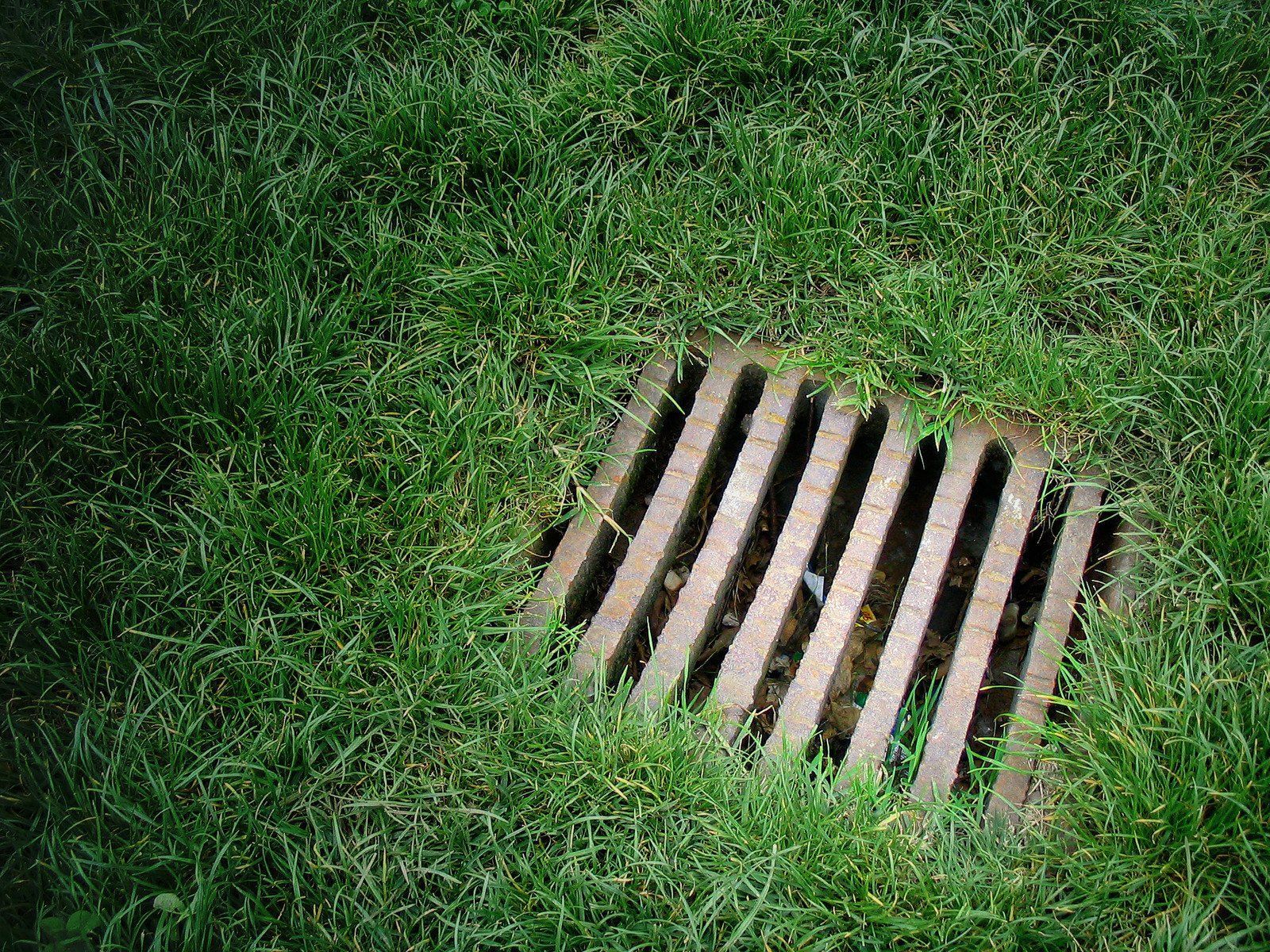 A metal drain covered in green grass.