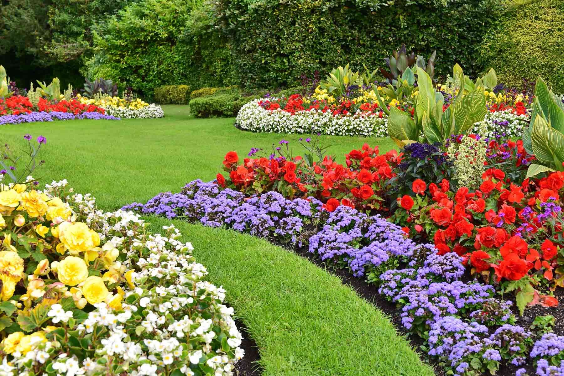 Lush garden bed with vibrant red, purple, white, and yellow flowers bordering a green lawn.
