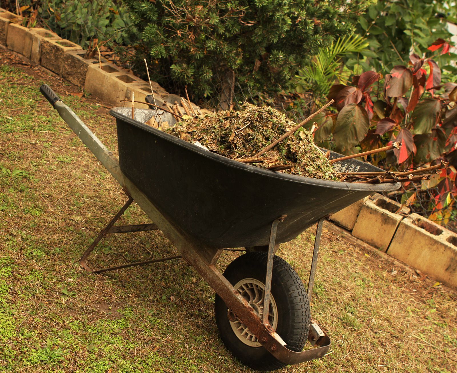 Orange skid steer loading brush near a wooden fence and trees.