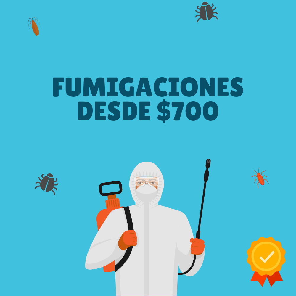 Expertos En Fumigaciones Y Control De Plagas En Cdmx