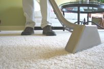 someone cleaning a carpet