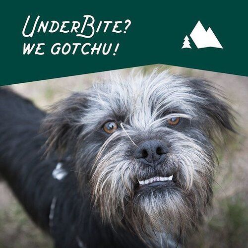 underbite? we got you.