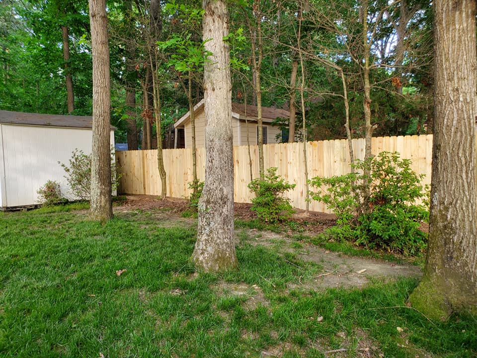 Gallery D & B Services Midlothian, Virginia